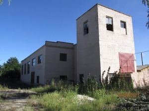 Здание на 400 кв.м. (аренда в Чернигове) #1593223