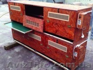 Брудера для цыплят #1594627