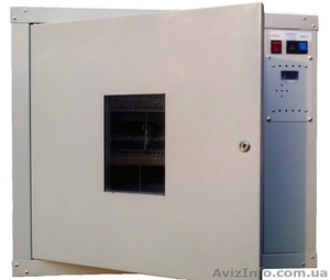 Инкубаторы для цыплят #1595451