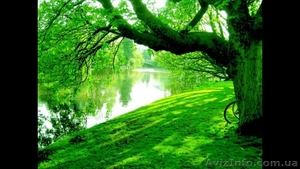 Участок 40 соток под застройку Васеливка #1591449