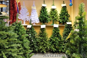 Выбирайте символ Нового Года! #1592355