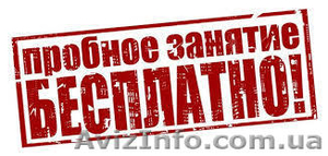 Обучение Итальянскому языку по скайпу,  удобно,  в любое время суток #1597951