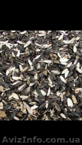 Куплю шелуху(лузгу) подсолнечника #1597070