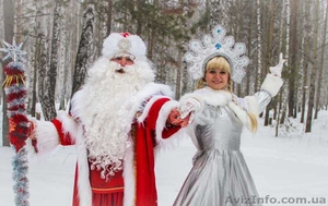 Сказка в дом! Дед Мороз,  Снегурочка,  и другие персонажи! #1596880