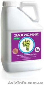 Фунгіцид для овочів,  саду,  полуниці - Захисник #1599301