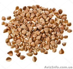 Гречневая крупа оптом  #1598217