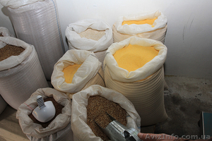 Крупы оптом ГОСТ #1597475