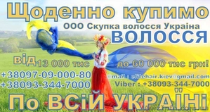 Купуємо волосся у Львові (Висока ціна) #1596472