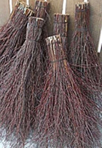 Метла березовая,  веники березовые для уборки улиц #1536731