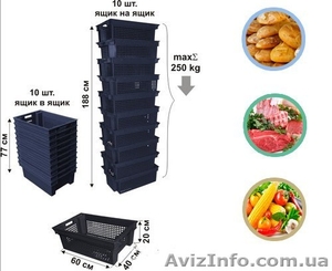 Ящик для зберігання картоплі,  помідорів,  огірків Львів  shopgid com ua #1597451
