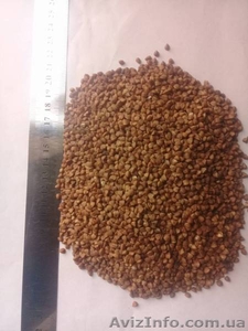 Гречка від виробника ГОСТ  5550-74 #1596963