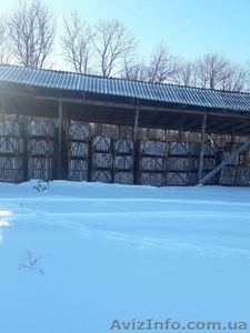 Продам контейнера овощные #1604223