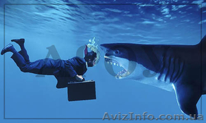 Юридическое и бухгалтерское обслуживание украинских предприятий  #1602194