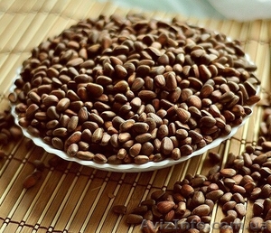 Орех кедровый,  сибирский,  неочищенный (2019) #1601606