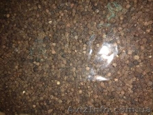 Чорний перець горошок #1602207