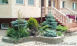 Озеленение ландшафтный дизайн #486884