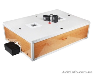 Купить Инкубатор автоматический Курочка Ряба 120 (на 120 яиц) #1600311