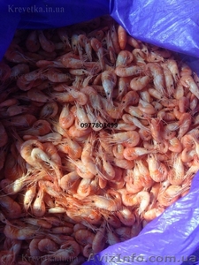 Креветка купить  #1604832