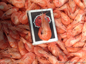 Креветка калиброванная крупная,  мидии,  рапаны,  крабы #1604825