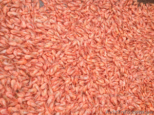 Салат с креветками #1604835