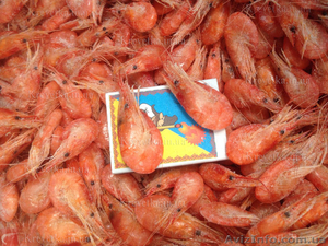 Калкан,  мидия,  краб #1604829