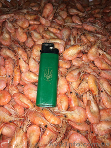 Креветки  #1604834