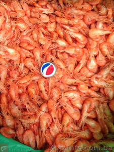 НАША креветка азовка и черноморка #1604838