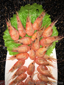 Крупная калиброванная креветка черноморская  #1604796