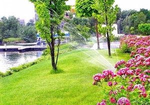 Качественное оборудование для систем автоматического полива и тумана #1609015