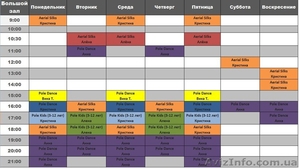 Студия танцев на пилоне VINYL PD STUDIO Винница #1605417