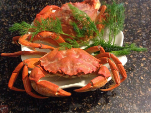 Живые крабы,  вареная креветка опт #1604819