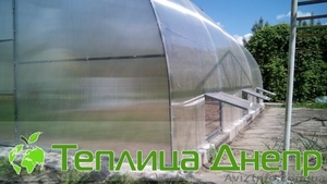 Теплица из поликарбоната шириной 5 метров #1605450