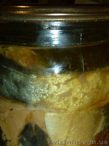 Скумбрия в масле. Домашнего приготовления! #1608814