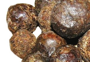 Продаем прополис пчелиный и другие продукты пчеловодства: лучшие цены #1607071