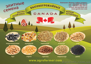 Импортные высокоурожайные семена					 #1607899