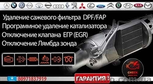 Удаление сажевого фильтра  DPF/ FAP #1606074