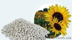 Удобрения и средства защиты,  производство Черкассы #1610567