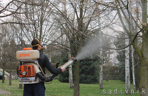 Опрыскивание растений от болезней и вредителей. Обработка сада #544425