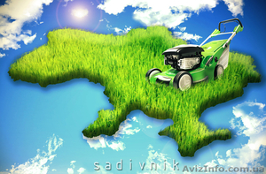 Посев газона,  укладка рулонного газона   #1611638