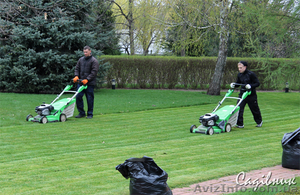 Уход за газоном,  вычесывание газона #419753