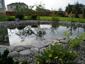 Фитодизайн,  ландшафтный дизайн,  интерьерное и экстерьерное озеленение в Киеве #1612533