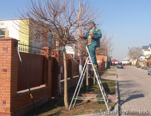 Комплексный уход за садом. Услуги садовника  #544420