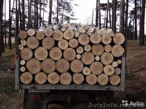 Дрова колотые. #1611895