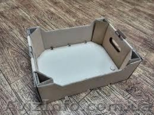 Картонный лоток под ягоду и фруктов  #1610666