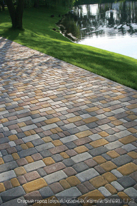 Тротуарная плитка Днепр #1610342