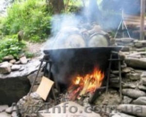 СПА-ТУР У ЗАКАРПАТТІ: ЧАНИ І ТЕРМАЛЬНІ ВОДИ #1610346