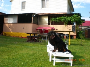 Сдам дачу в Святогорске #1612257