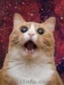 Настройка рекламы на Facebook и Instagram,  БЕСПЛАТНО!  #1608980