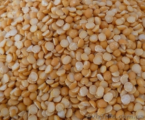 Горох желтый колотый. #1611825