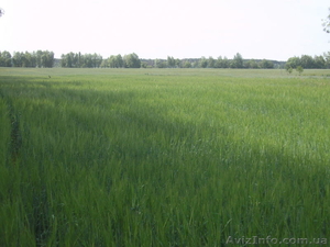 продажа земли #1610466